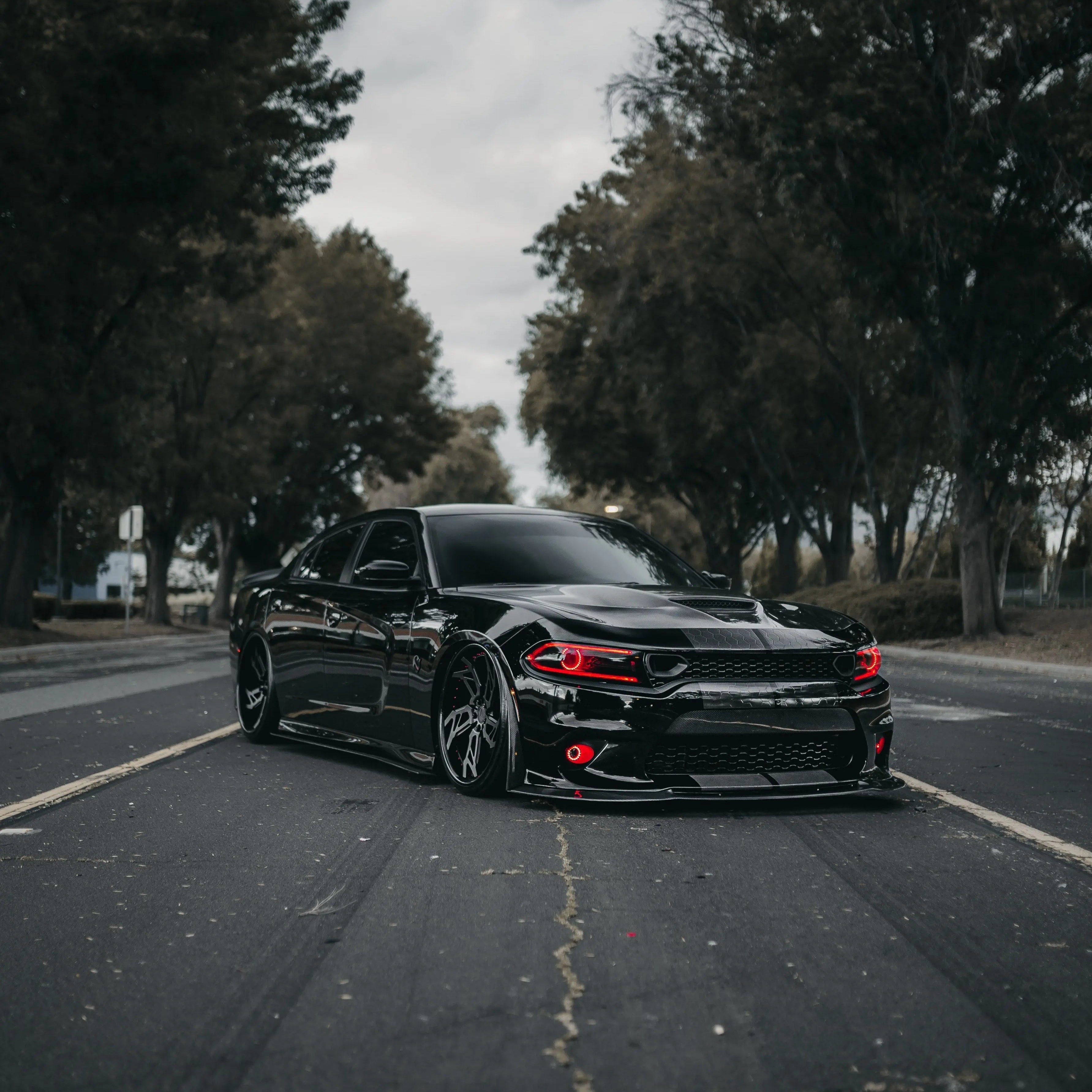 2015-2023 Dodge Charger Carbon Fiber Front Lip Splitter