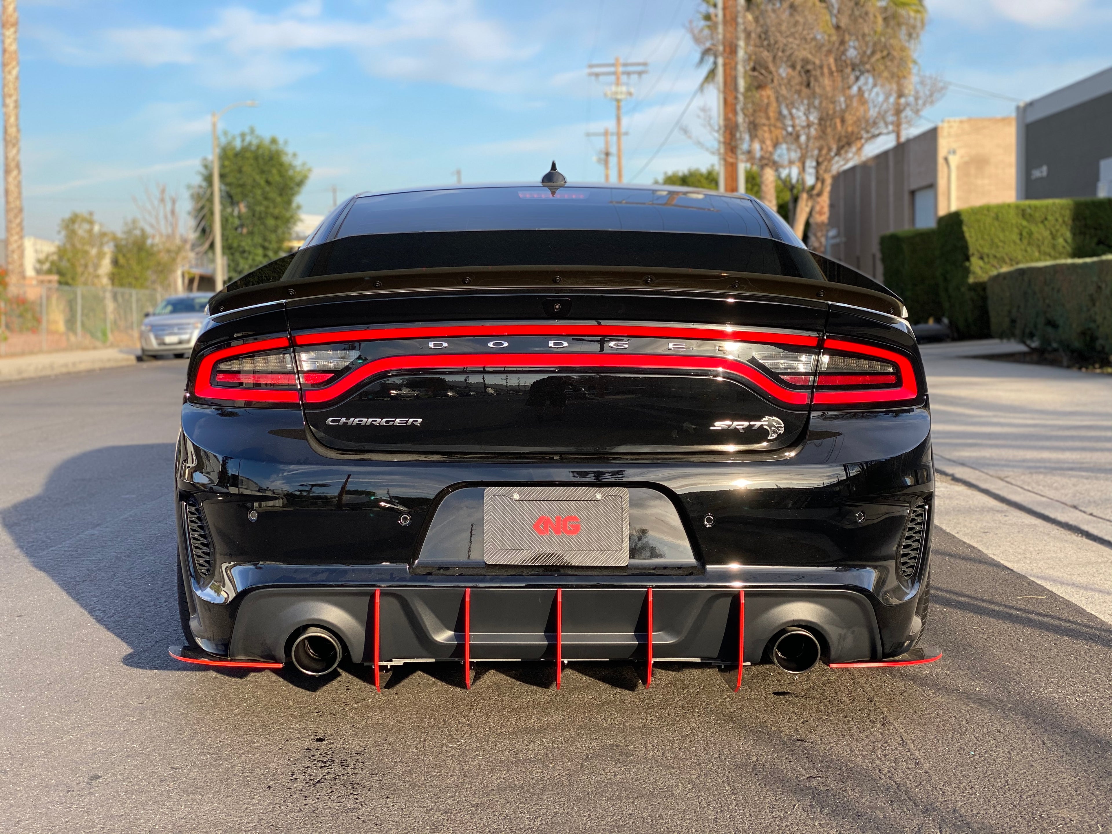 Dodge Charger Duckbill Design Wickerbill