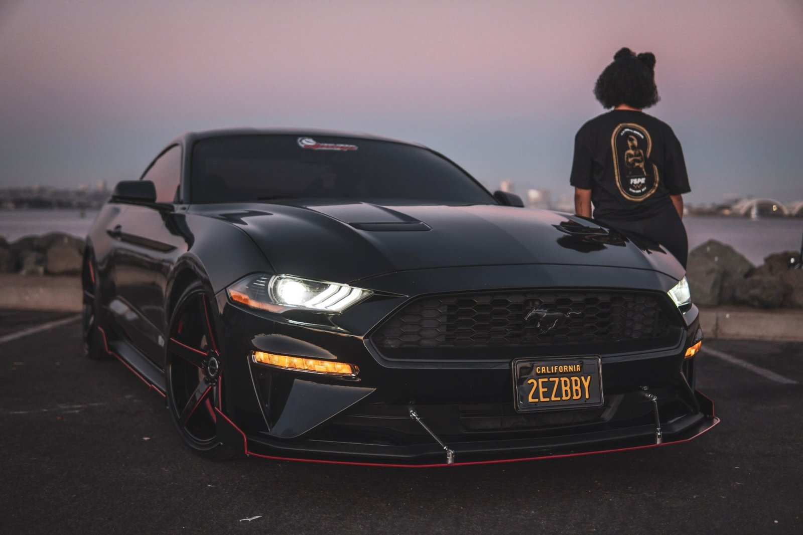 Ford Mustang (2018-2023) Ecoboost/GT CHAOS Front Splitter