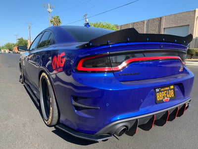 2015 - 2023 Dodge Charger GT, Scatpack, Hellcat: Carbon Fiber Rear Spats